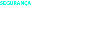 SEGURANÇA O POWER BOOSTER é fabricado na Alemanha dentro de rígidos padrões de segurança e proteção. Possuí um processador de 48MHz, proteção de tensão e polaridade e controle iluminado com LED´s para lhe ajudar na hora da utilização.